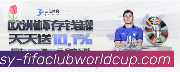 世界杯赛程荣誉